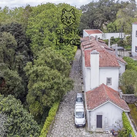 Quinta Dos Lobos Boutique - Nature Experience فندق