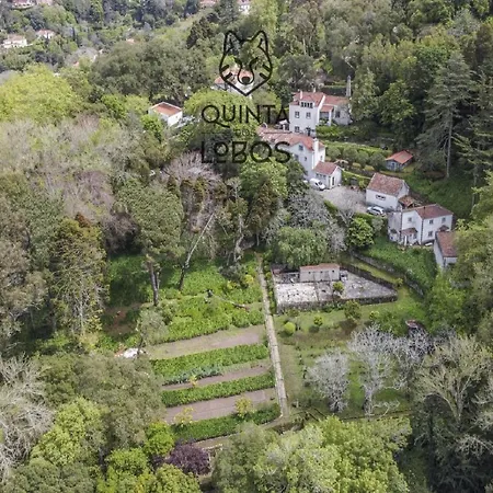 فندق Quinta Dos Lobos Boutique - Nature Experience سينترا