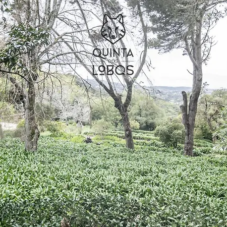 Quinta Dos Lobos Boutique - Nature Experience 3*
