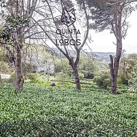 Quinta Dos Lobos Boutique - Nature Experience