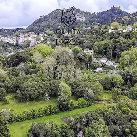 Quinta Dos Lobos Boutique - Nature Experience فندق 3*