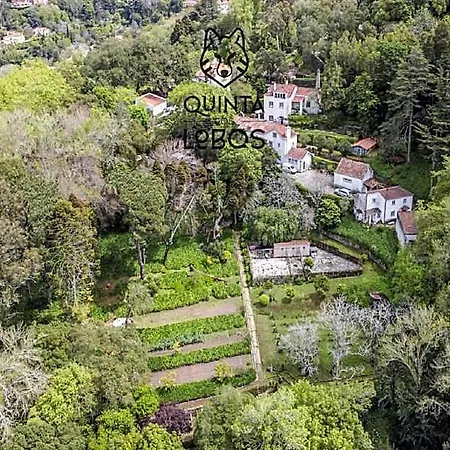 Quinta Dos Lobos Boutique - Nature Experience