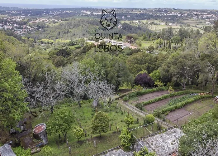 Quinta Dos Lobos Boutique - Nature Experience 3*