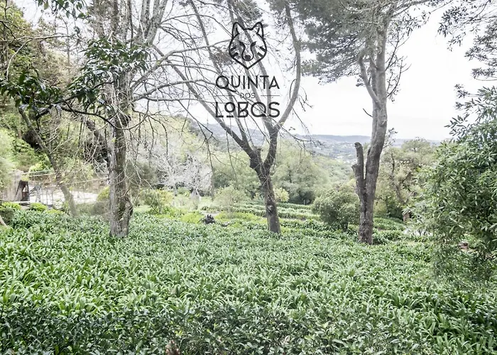 Quinta Dos Lobos Boutique - Nature Experience 3*